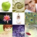 Lotus Dental - Holistic Dental Sydney