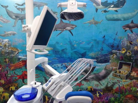 Blue Sky Dental Care - Dentists Australia 5