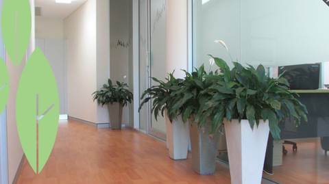 Parkview Dental Practice - Dentists Australia 3