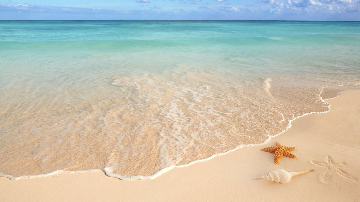 Golden Beach Dental